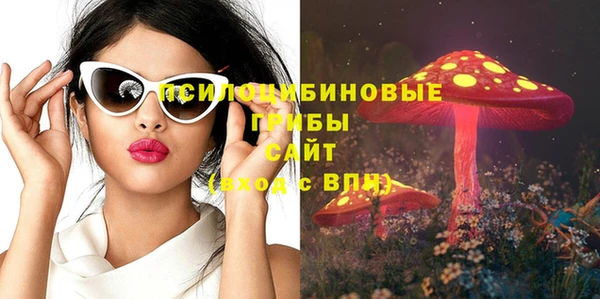 героин Богданович