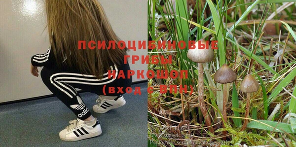 хмурый Белоозёрский