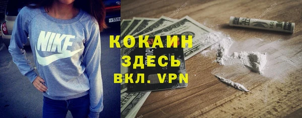 твердый Балахна